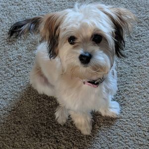 Meet your Posher, Stacy